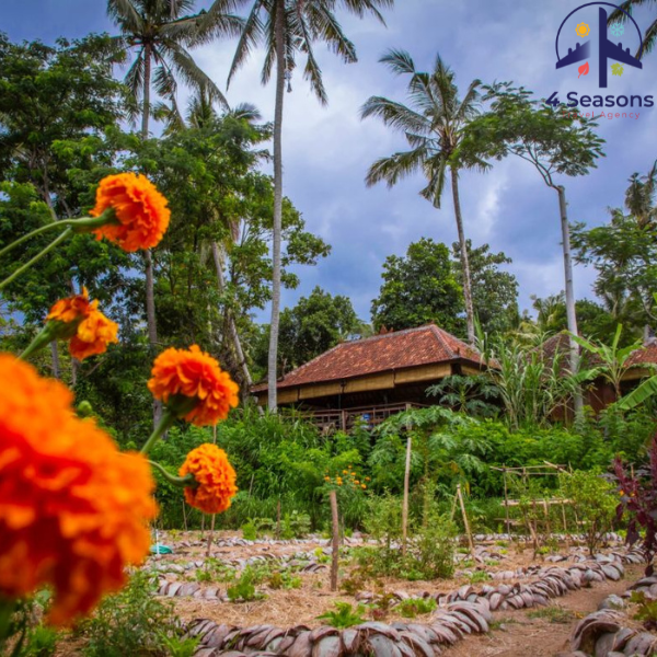 السياحة في أندونيسيا للشباب